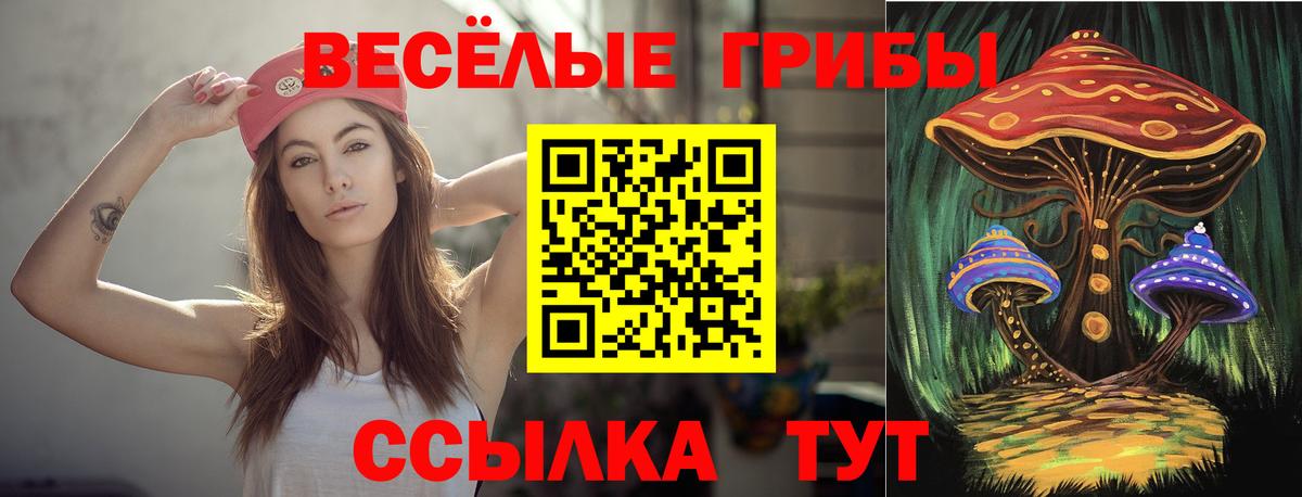 Галлюциногенные грибы GOLDEN TEACHER  Псилоцибиновые грибы MAGIC MUSHROOMS  Москва  Вход с VPN 